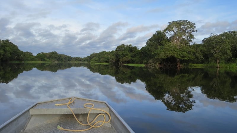 Amazon Rainforest, Brazil